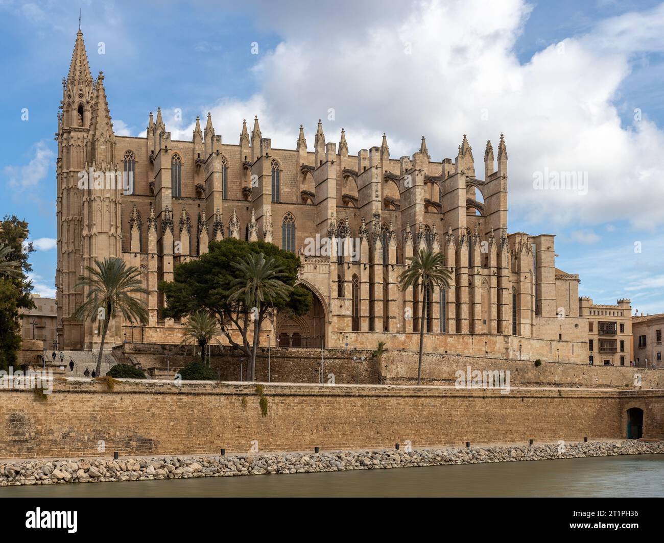 Cattedrale di Palma la Seu in Palma di Maiorca, Maiorca, Isole Baleari, Spagna, Europa Foto Stock