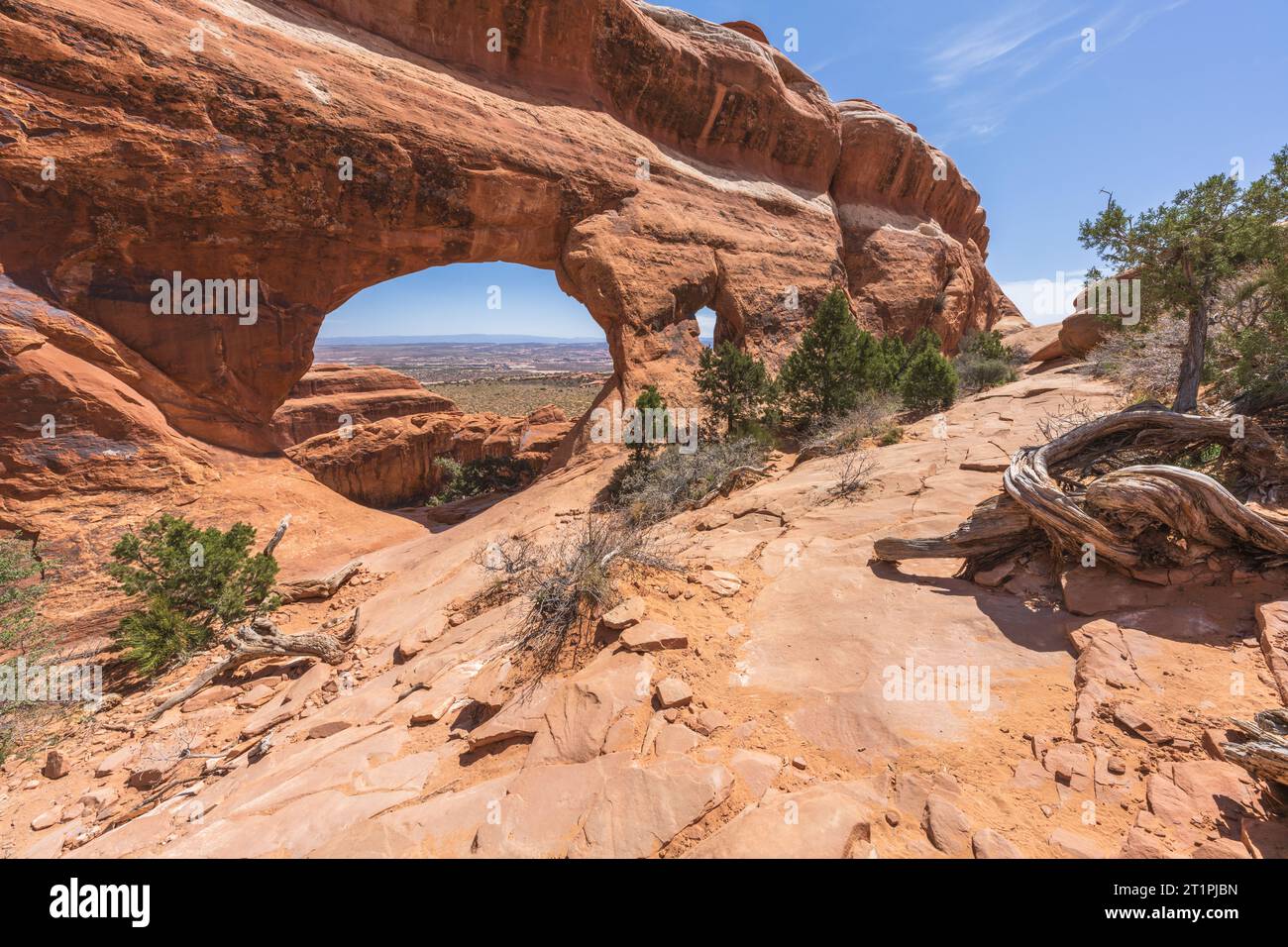 escursioni a piedi lungo il sentiero del giardino dei diavoli nel parco nazionale degli archi, usa Foto Stock