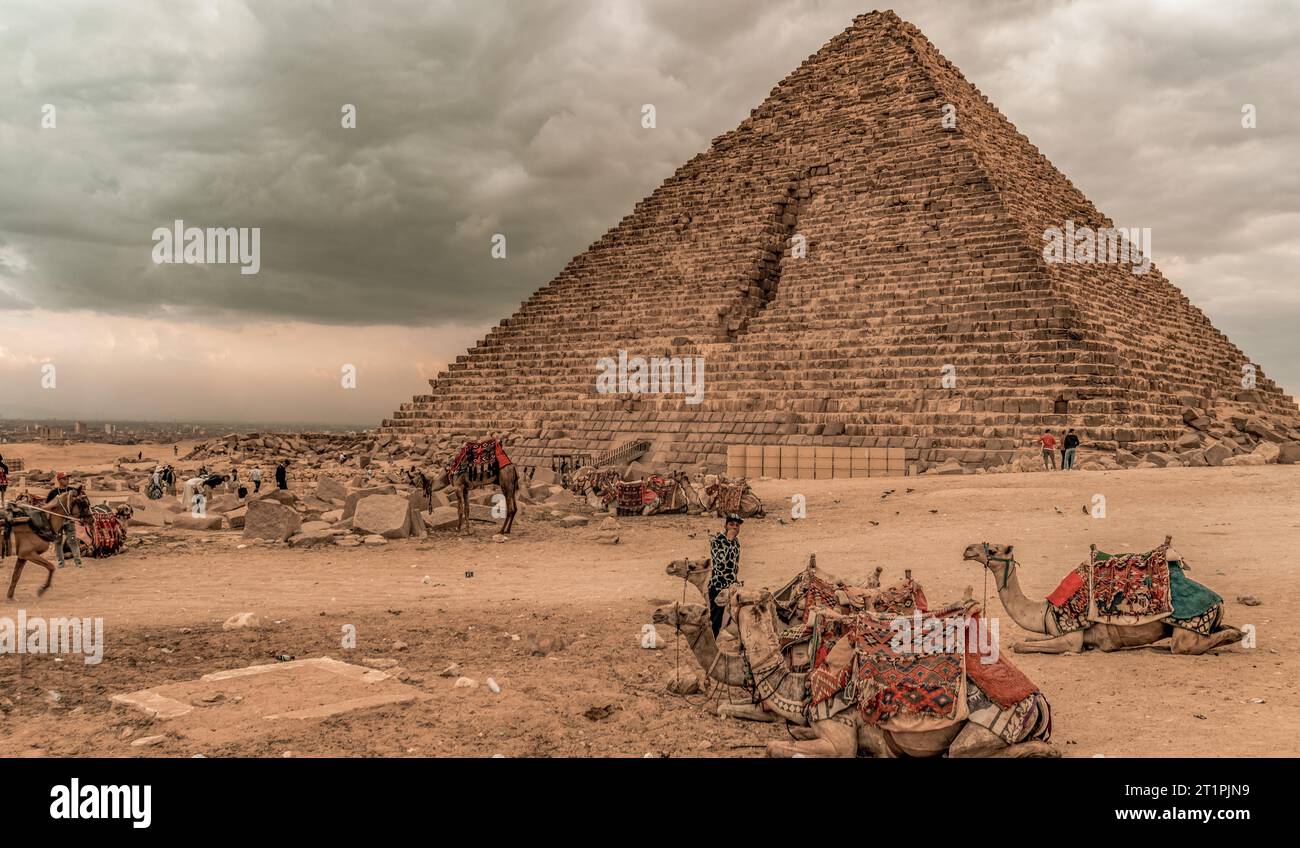 Cairo Egypt Dez 2022 Turismo e trasporto di cammelli alle Piramidi di Giza Foto Stock
