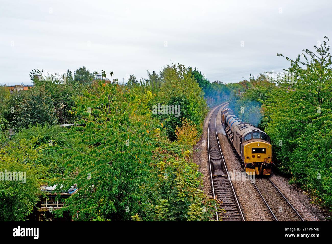 Class 37422 Victorious on Rail Head Treatment Train, Crichton Road Bridge, York, Yorkshire, Inghilterra 11 ottobre 2023 Foto Stock