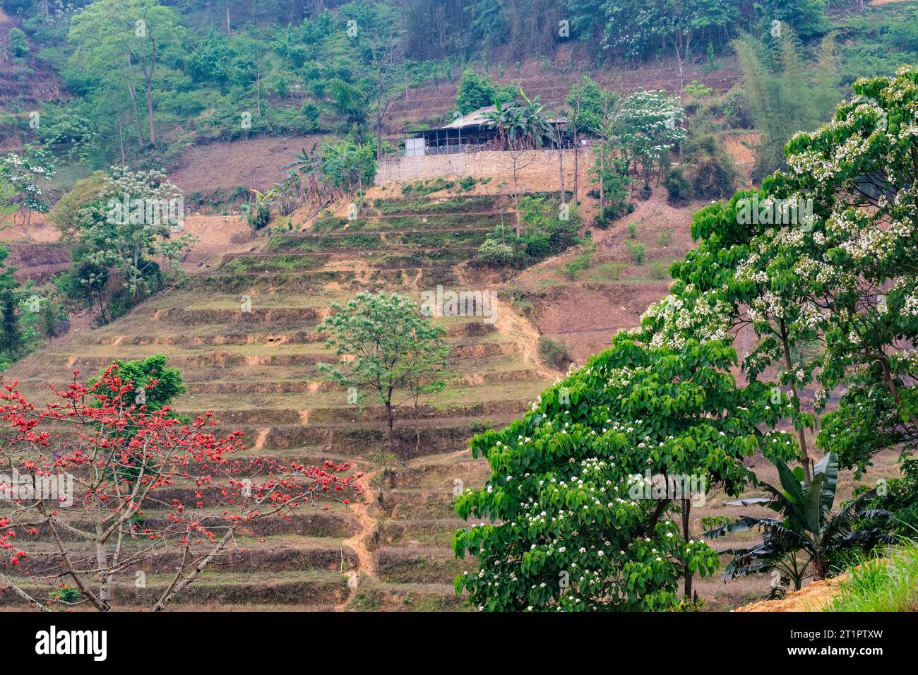 CAN Cau, Vietnam. Paesaggio panoramico, provincia di Lao Cai. Foto Stock