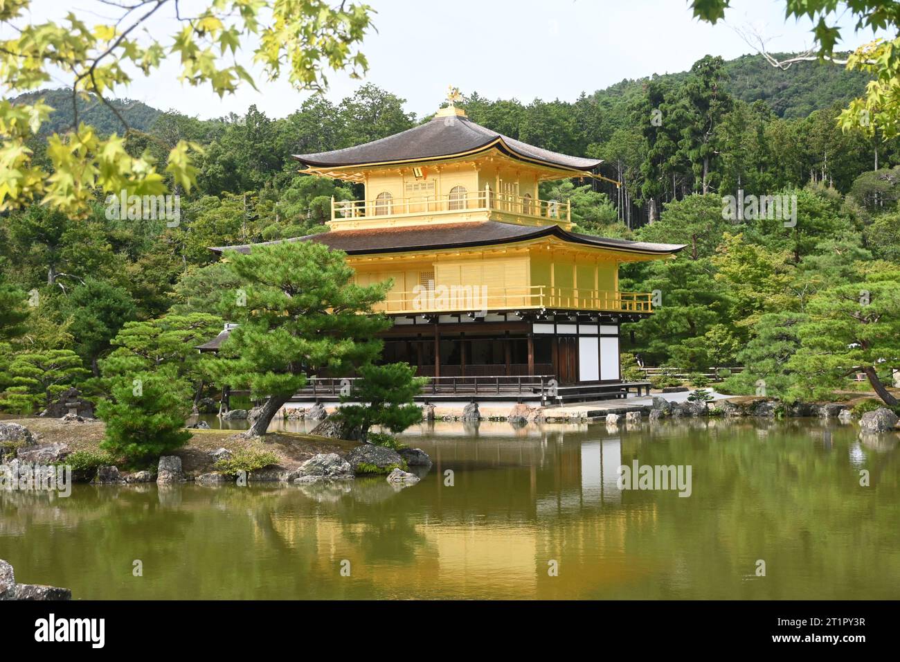 Kinkakuji, un sito patrimonio culturale giapponese, è un tempio buddista zen, chiamato anche Padiglione d'Oro, situato a Kyoto, in Giappone. Scattato durante la primavera. Foto Stock