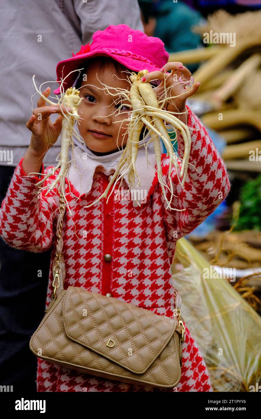 BAC ha, Vietnam. Sunday Market Scene. Giovane ragazza che tiene le radici del giovane Ginseng. Provincia di Lao Cai. Foto Stock