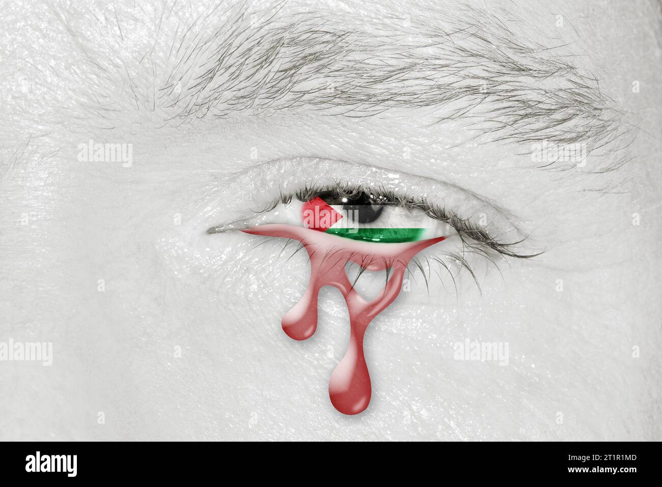 Occhio piangente di sangue con la bandiera della Palestina in Iris su faccia bianca e nera. Concetto di tristezza per il dolore della Palestina per la guerra e l'assedio israeliano a Gaza Foto Stock