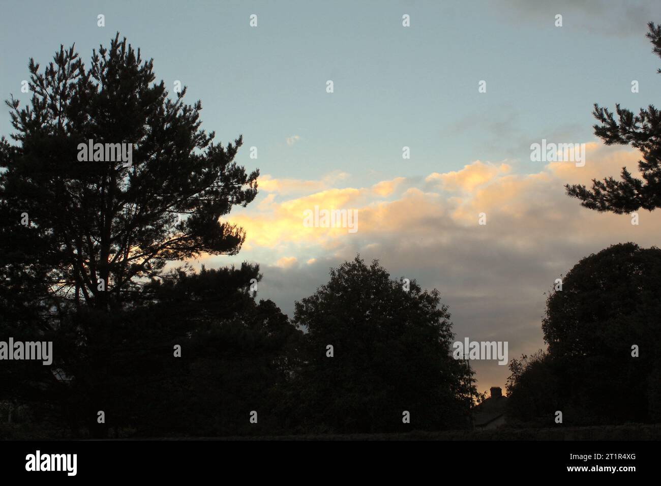 Una foto di splendidi paesaggi con cieli arancioni e alberi in primo piano. Foto Stock