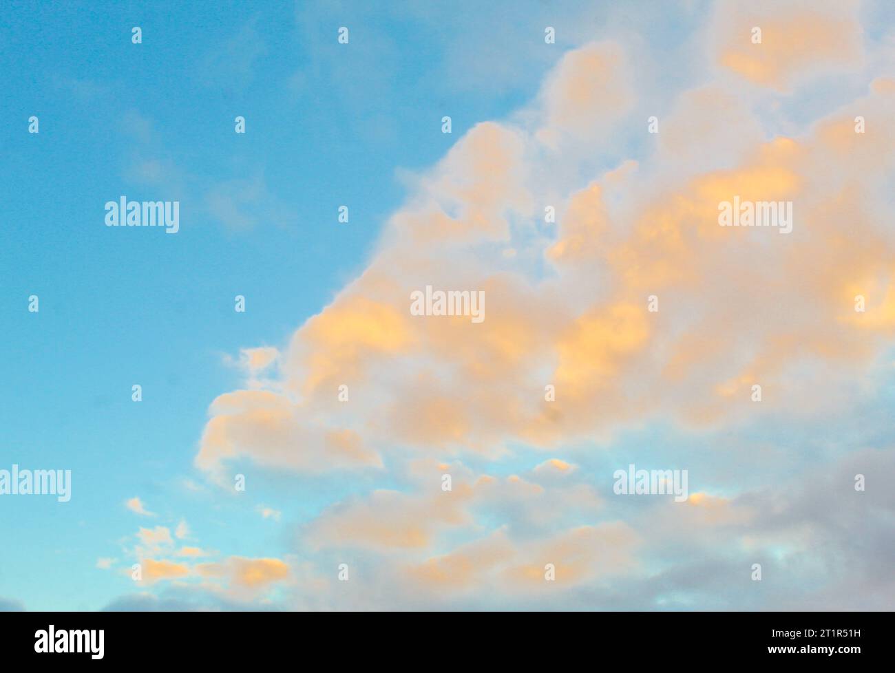 Una foto di splendidi paesaggi con cieli arancioni e alberi in primo piano. Foto Stock