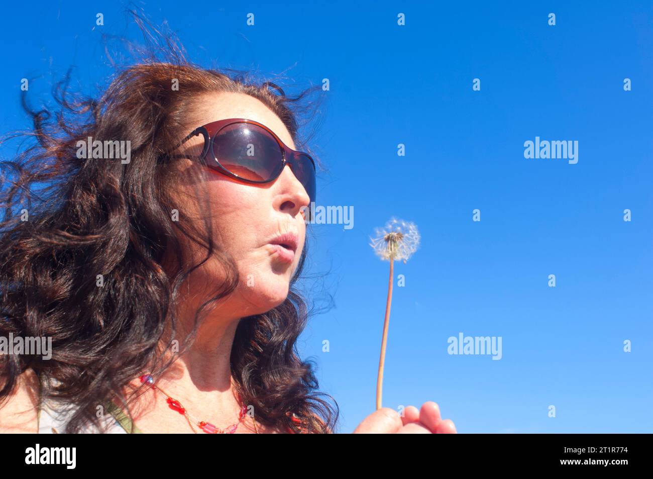 Donna matura che soffia un orologio di tarassio - John Gollop Foto Stock