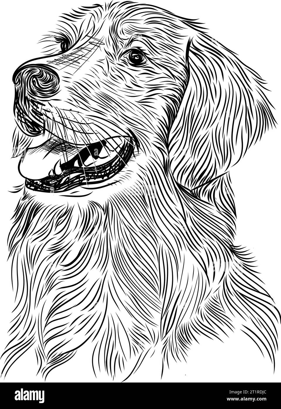 Bozzetto di cane Golden retriever Illustrazione Vettoriale