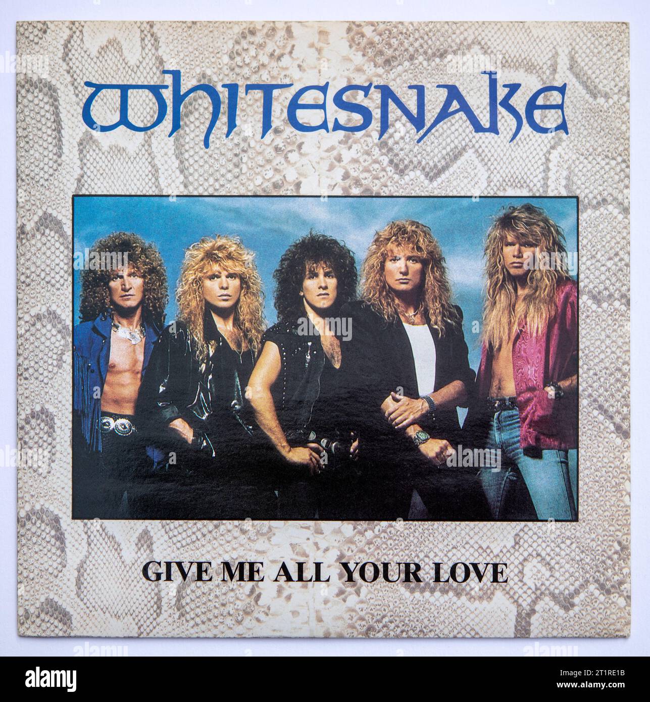 Copertina della versione da sette pollici di Give me All Your Love della rock band Whitesnake, pubblicata nel 1988 Foto Stock