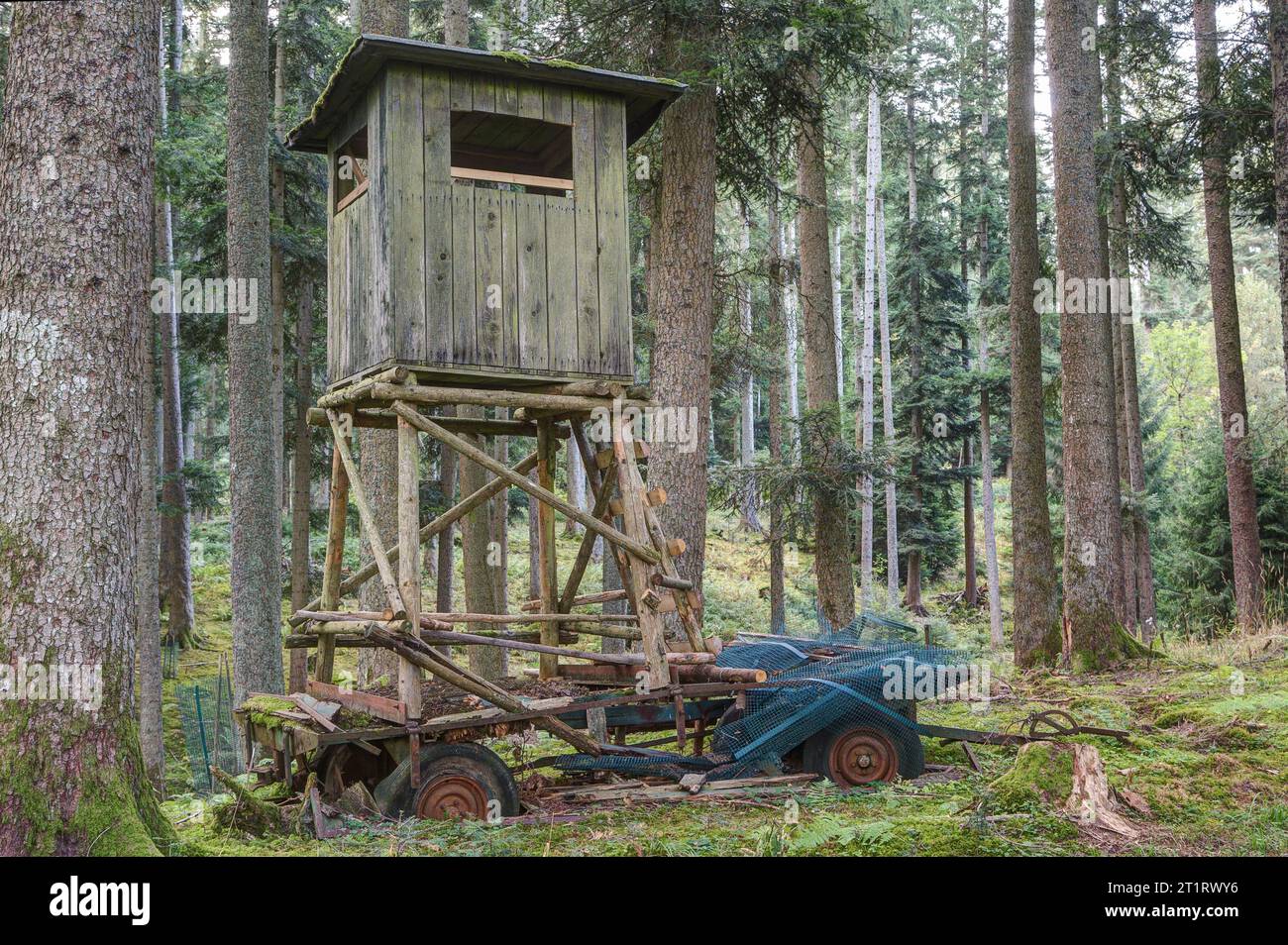 Natura silenziosa, fascino fatiscente. Pulpito intemprato nella foresta, intronizzato su un vecchio rimorchio. Foto Stock