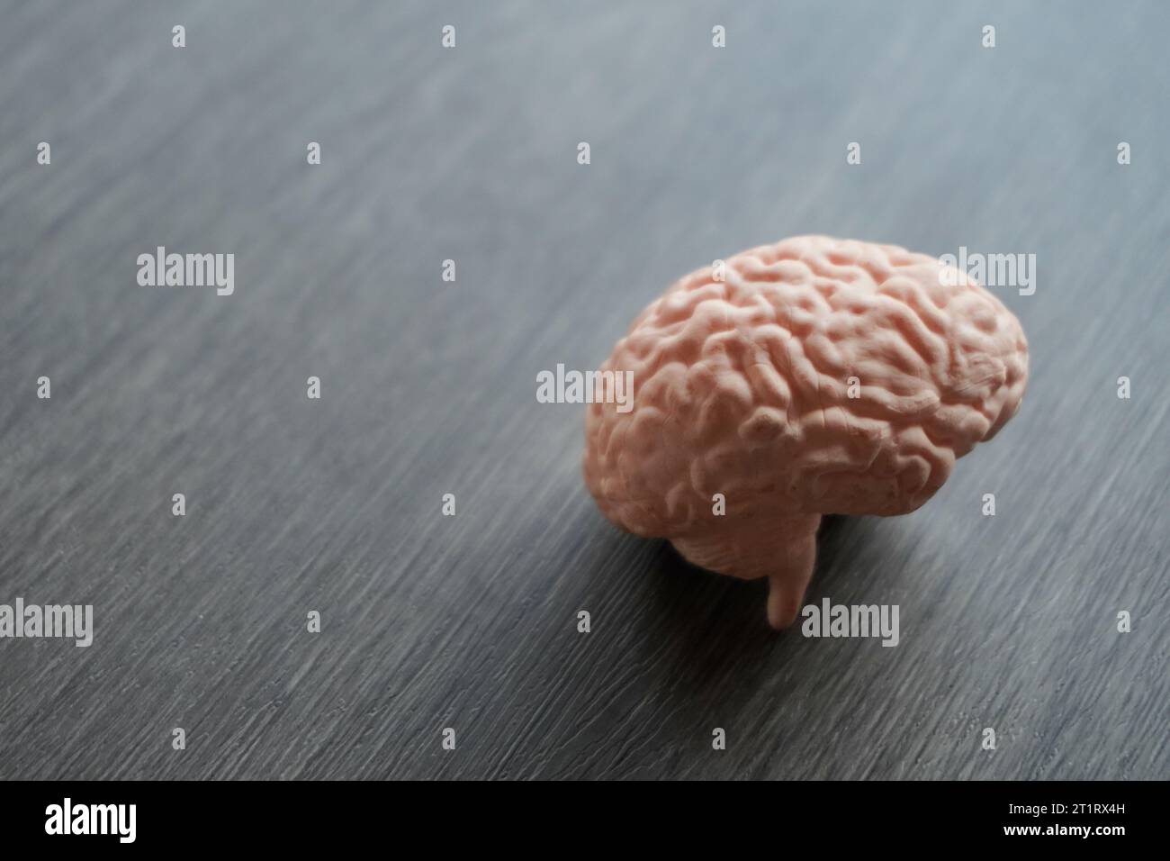Immagine ravvicinata del modello del cervello umano. Il cervello è liscio e grigio, con i diversi lobi e gyri chiaramente visibili. Concetto medico e sanitario. Foto Stock
