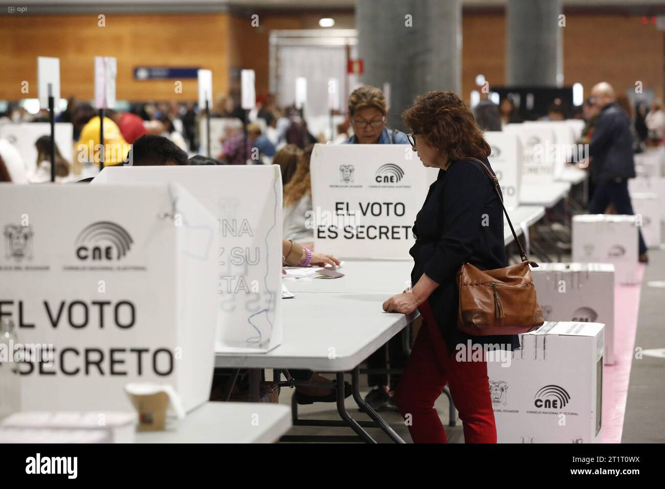 ELECCIONES - ECUATORIANOS - ESPANA Miles de ecuatorianos ejercen su derecho al voto en Madrid Espana durante la segunda vuelta para las elecciones generales de Ecuador. POL-ELECCIONES-ECUATORIANOS-ESPAÃA-448d4e74d594ab6cceaac53d8d36f60 *** ELEZIONI ECUADORIANE SPAGNA migliaia di ECUADORIANI esercitano il loro diritto di voto a Madrid Spagna durante il secondo turno delle elezioni generali in Ecuador POL ELEZIONI ECUADORIANE SPAGNA 448d4e74d4d4e74d594ab6ccea594a594dxardx36xe53d8d8dxe5960 Foto Stock