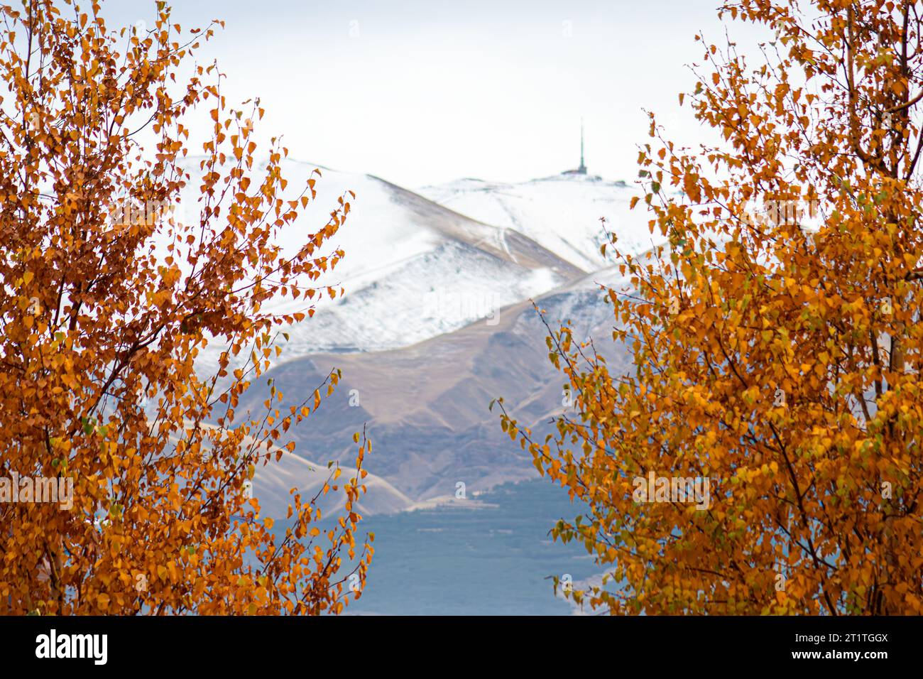 Concetto di transizione stagionale con Palandoken Mountain innevato sullo sfondo di foglie autunnali che svaniscono. Foto Stock