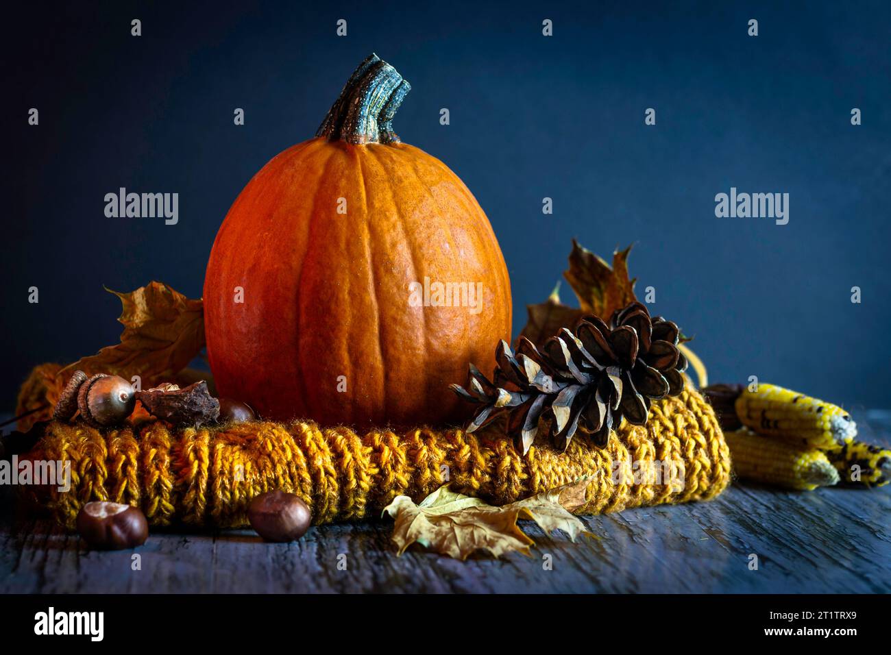Natura morta autunnale con zucca d'arancia (Cucurbita pepo), coni di pino e sciarpa gialla a maglia. Foto Stock