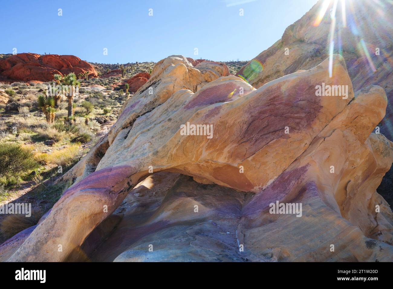 Rock Prominence in Gold Butte National Monument, Nevada, USA. Foto Stock