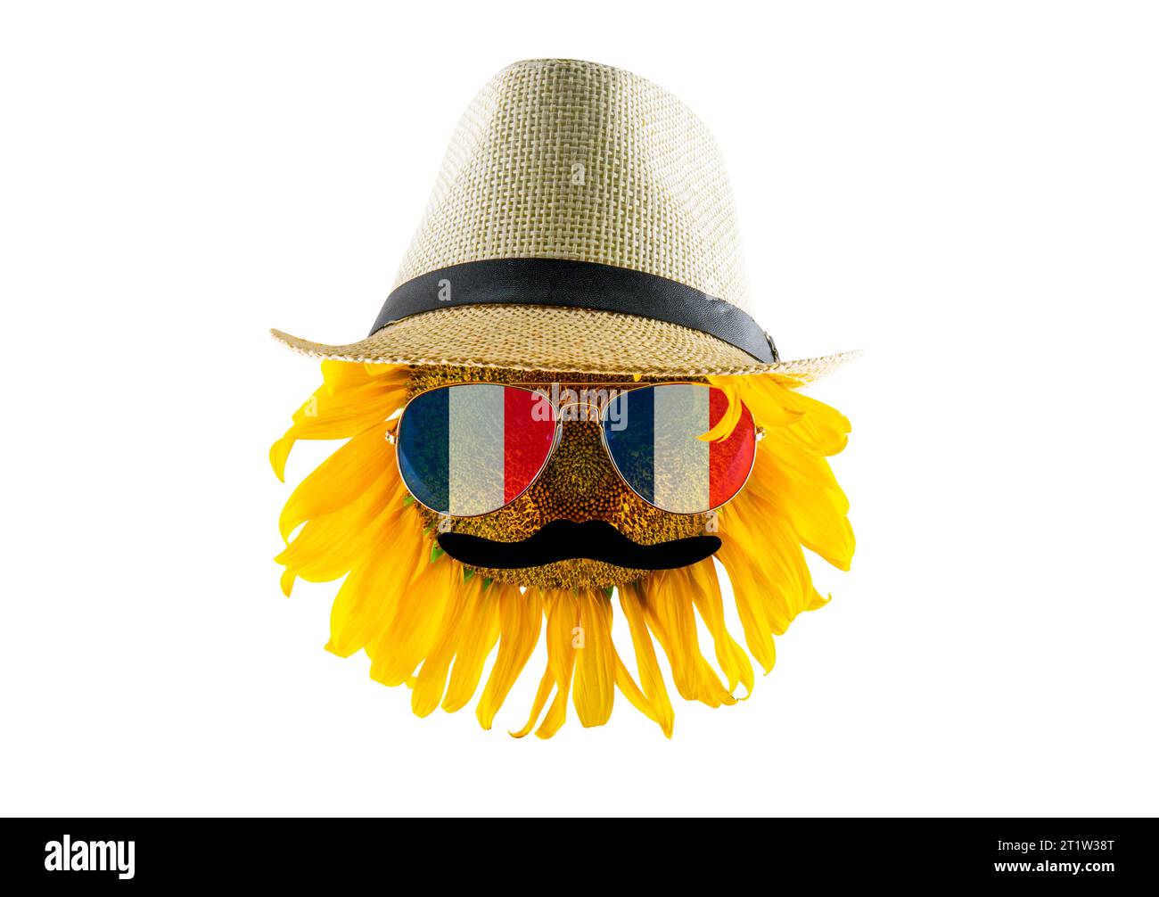 Girasole in cappello, baffi e occhiali sotto forma di bandiera della Francia (primo piano) su sfondo trasparente. Il più grande produttore di olio vegetale Foto Stock