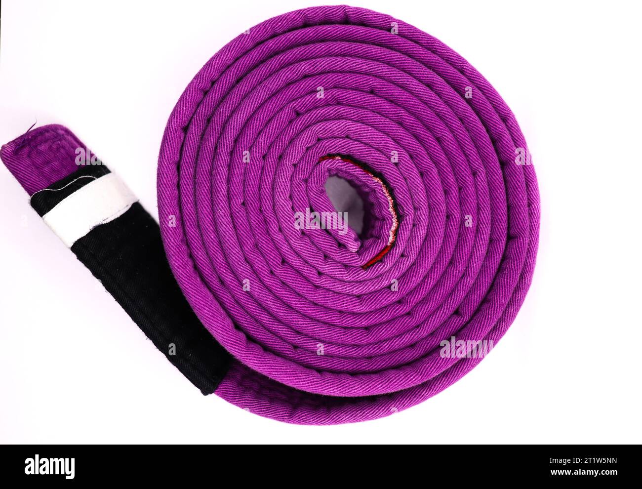 Una cintura brasiliana jiu jitsu con quattro strisce viola Foto Stock