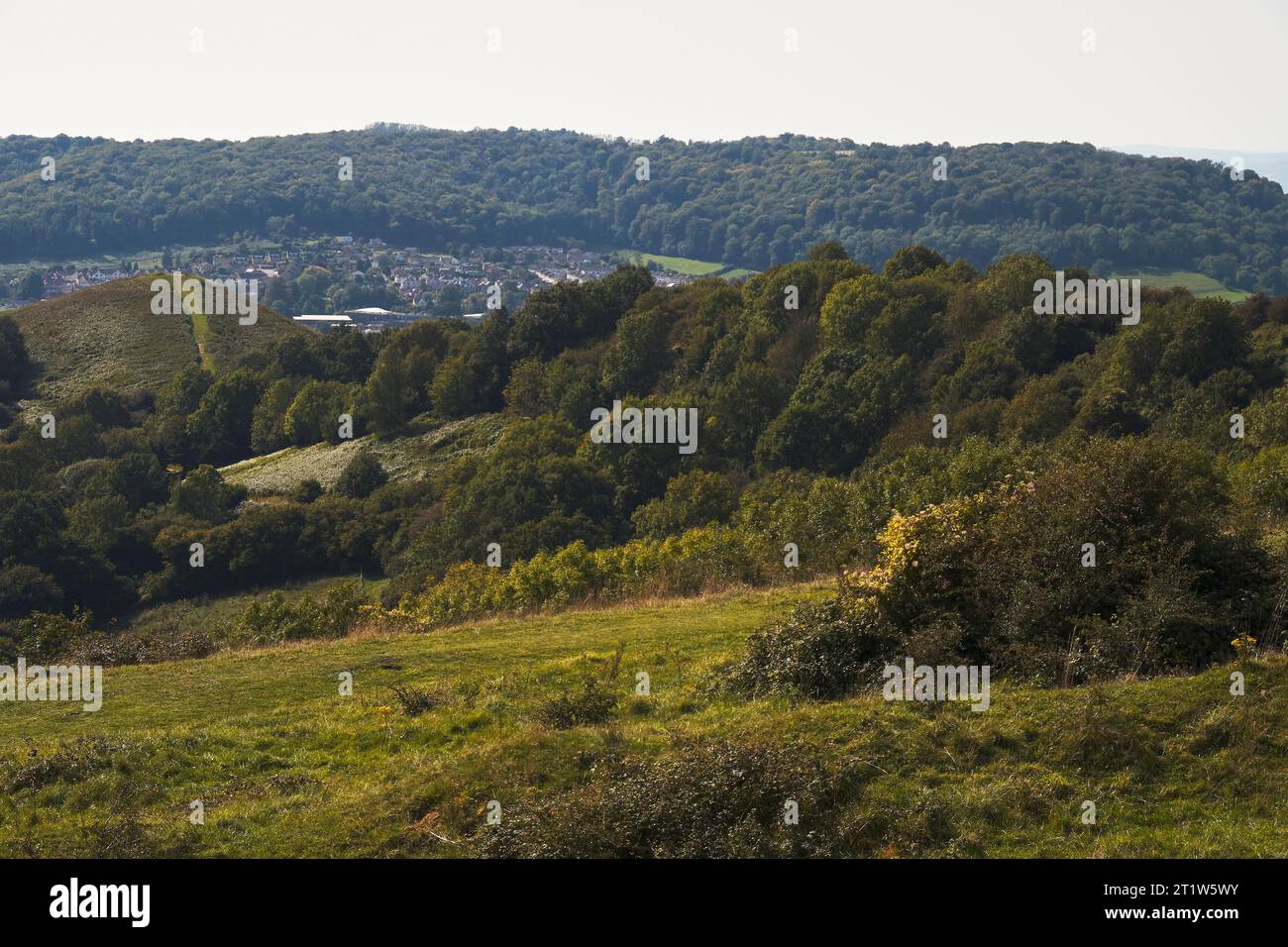 La collina conosciuta come Cam Long Down, vicino a Dursley, nel Gloucestershire Foto Stock
