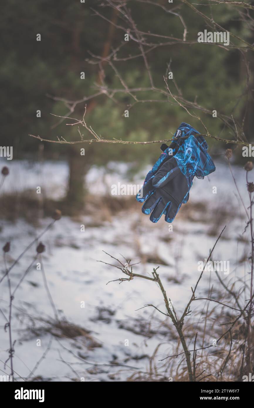 guanti per sciare nella foresta, simbolo dello sport Foto Stock