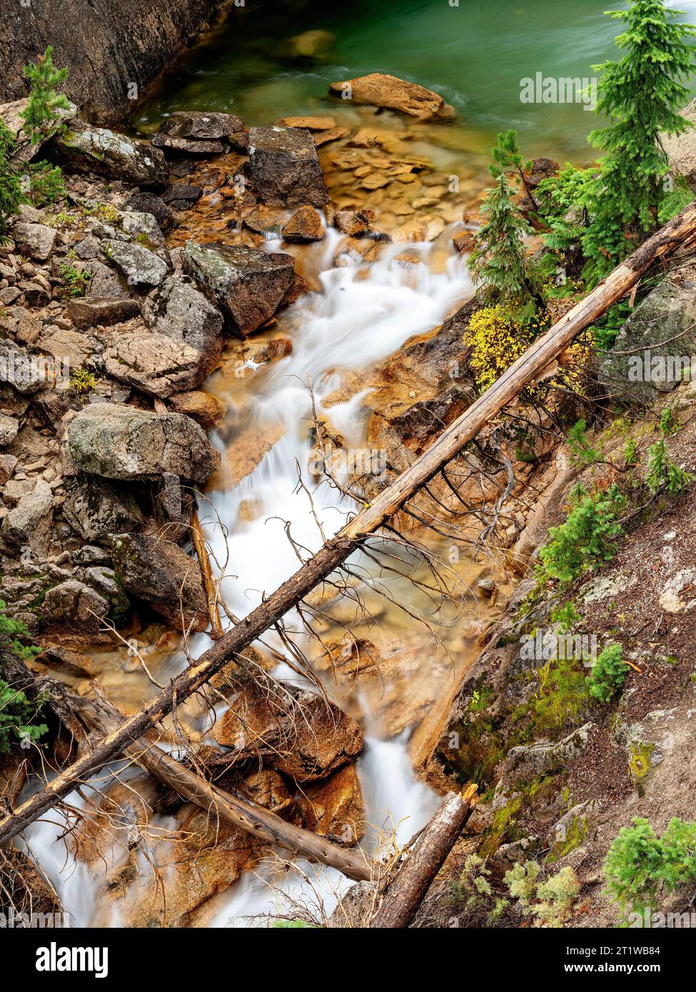 Idaho Wilderness creek con roccia e albero abbattuto Foto Stock