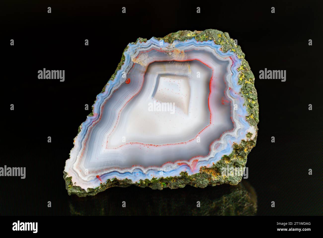 Splendida sezione trasversale minerale di agata naturale. Primi piani di una pietra preziosa dal taglio liscio con curve a macchie ondulate rosse e bordo blu su superficie bianca opaca. Foto Stock