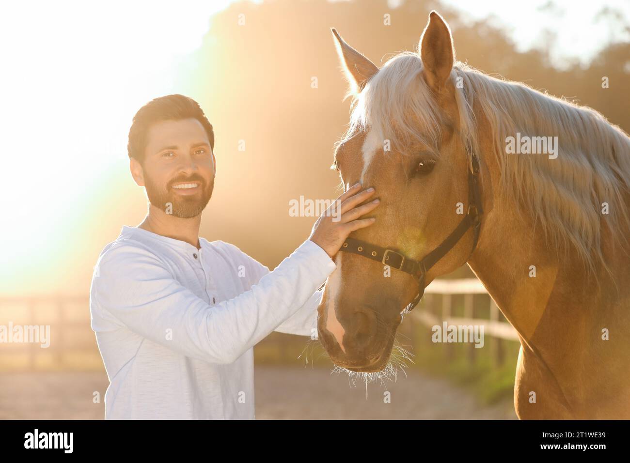 Bell'uomo con adorabile cavallo all'aperto nelle giornate di sole. Adorabile animale domestico addomesticato Foto Stock