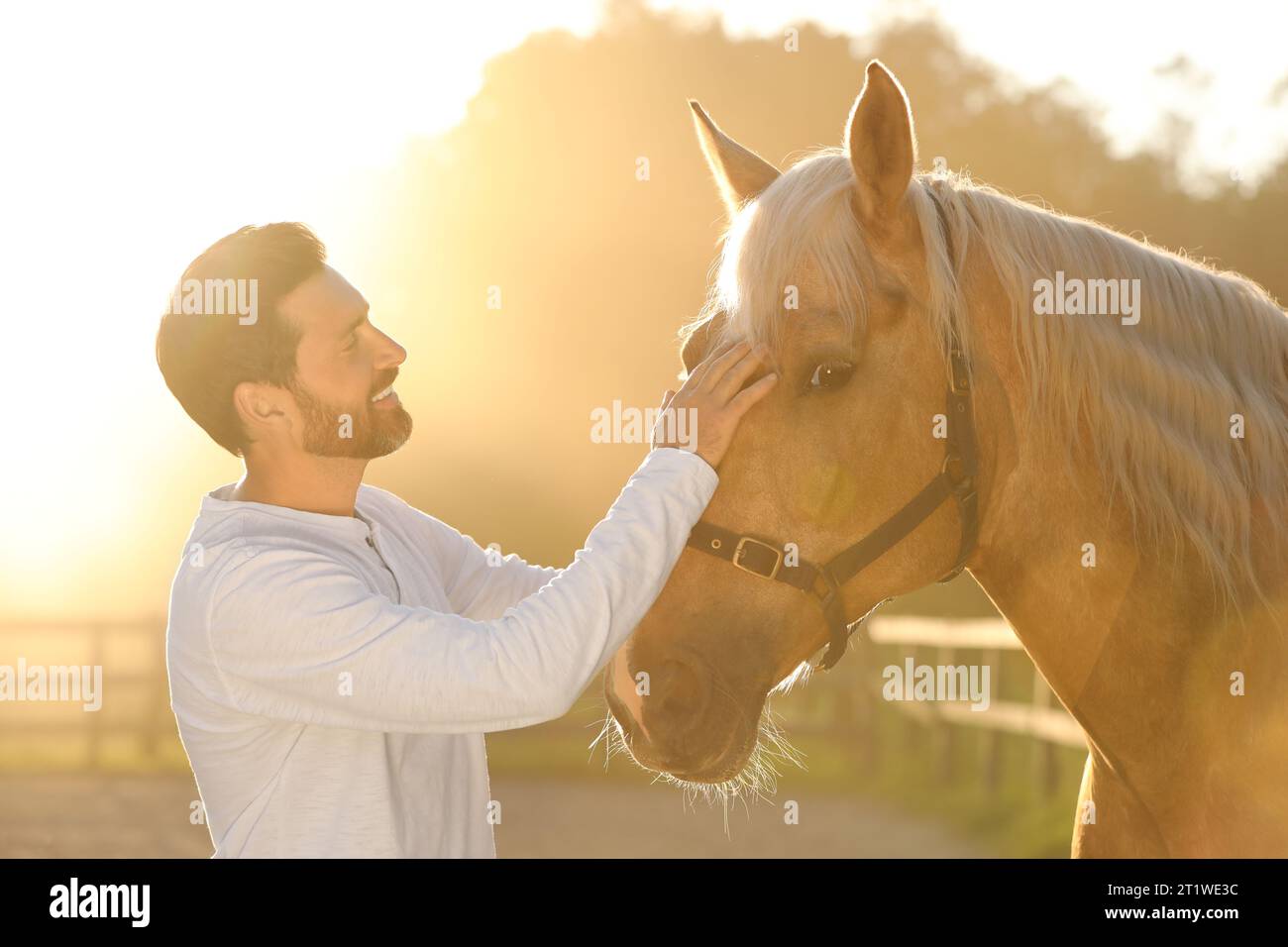 Bell'uomo con adorabile cavallo all'aperto nelle giornate di sole. Adorabile animale domestico addomesticato Foto Stock