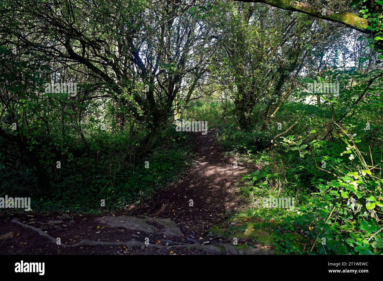 Cardiff Views, la pista ciclabile e pedonale Ely Trail a Leckwith, Galles del Sud, 2023 Foto Stock