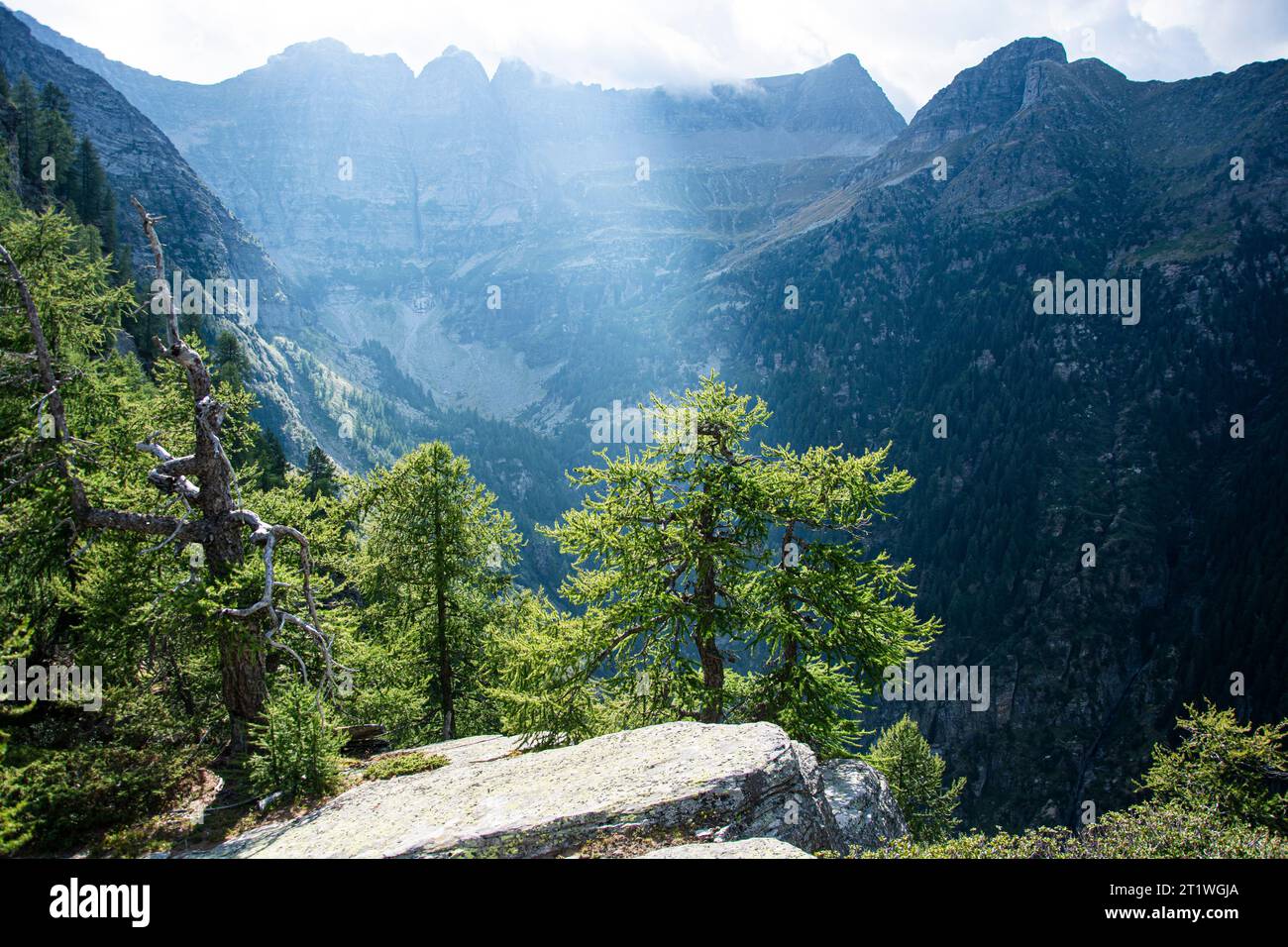 Faszinierender Blick in den steilen Talkessel des Val Nedro im Tessin Foto Stock