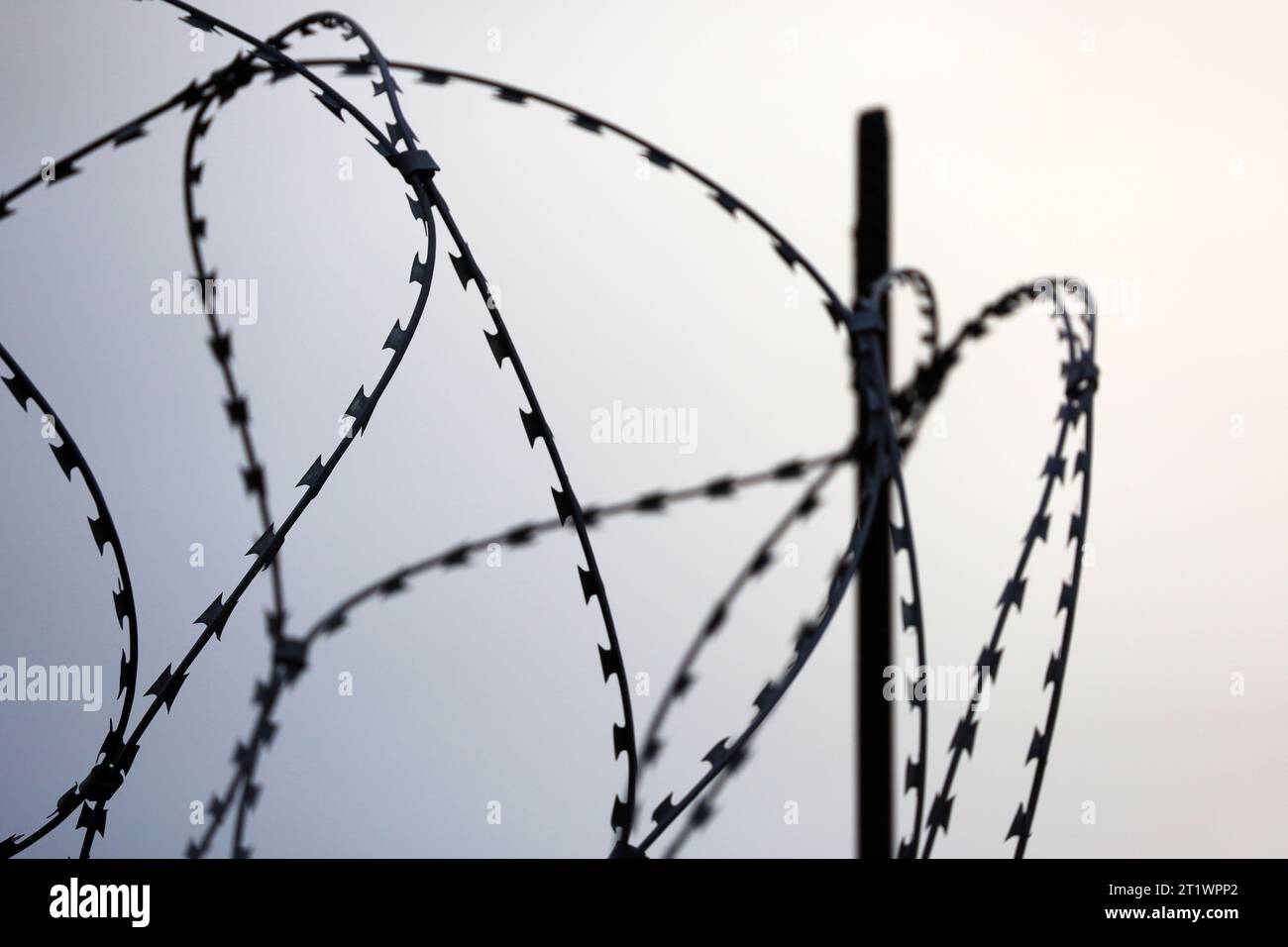 Filo spinato su sfondo cielo. Concetto di confine, prigione, guerra o base militare Foto Stock