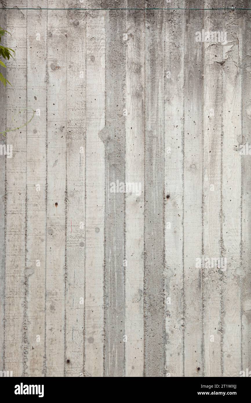 Recinzione in legno grigio. Trama. Sfondo per la progettazione. Verticale. Foto di alta qualità Foto Stock