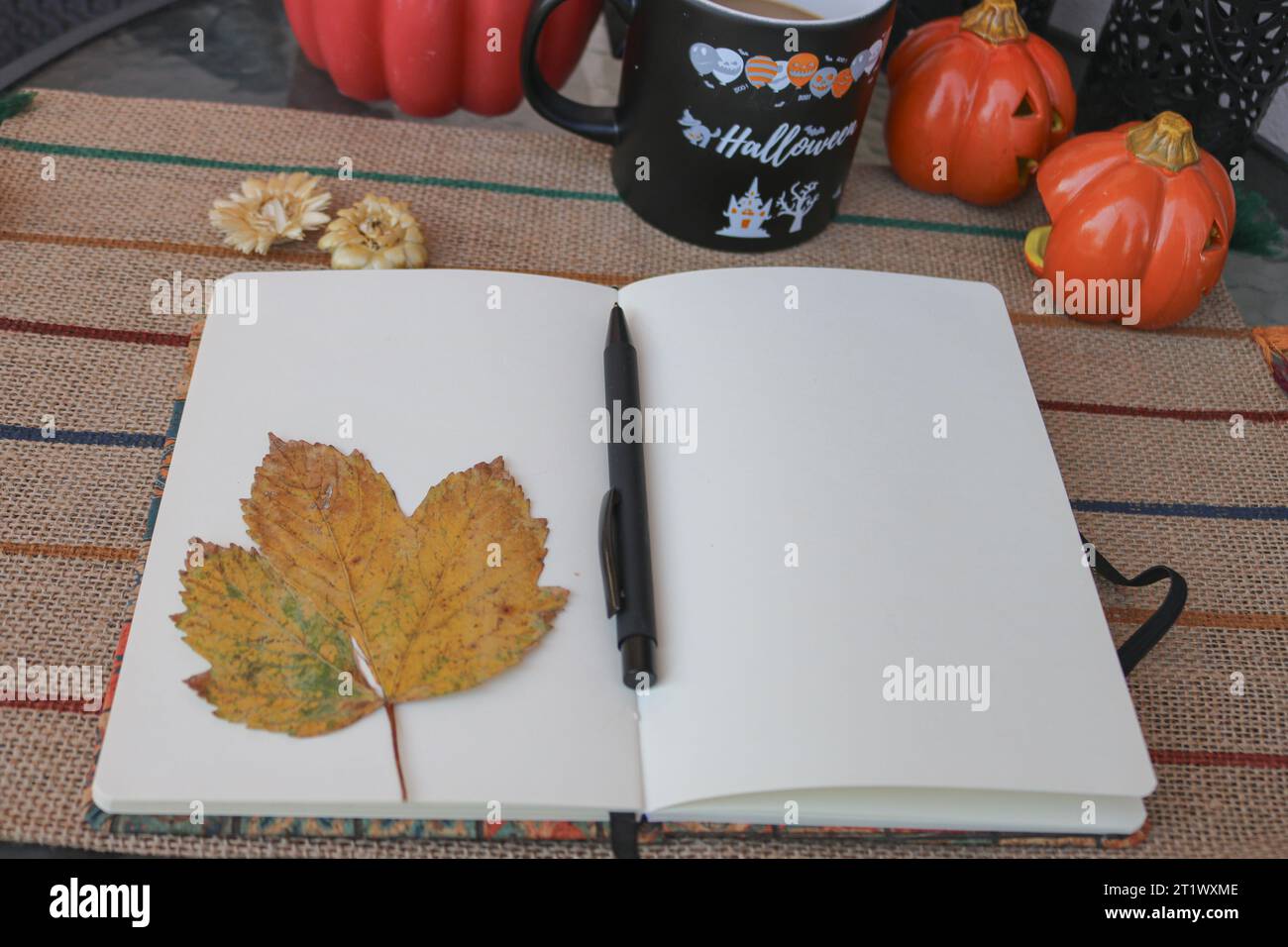Notebook e foglie autunnali Foto Stock