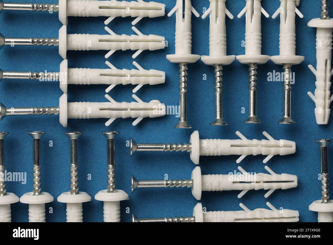 Molte viti in metallo con tasselli bianchi su sfondo blu, posizionamento piatto Foto Stock