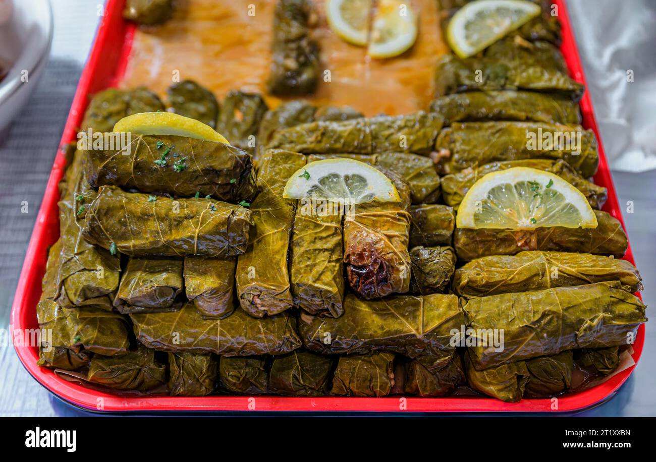 Dolma tradizionale in foglia d'uva armena o sarma con carne, riso, pomodoro, cipolla, olio d'oliva, succo di limone e spezie in un festival gastronomico a San Francisco Foto Stock