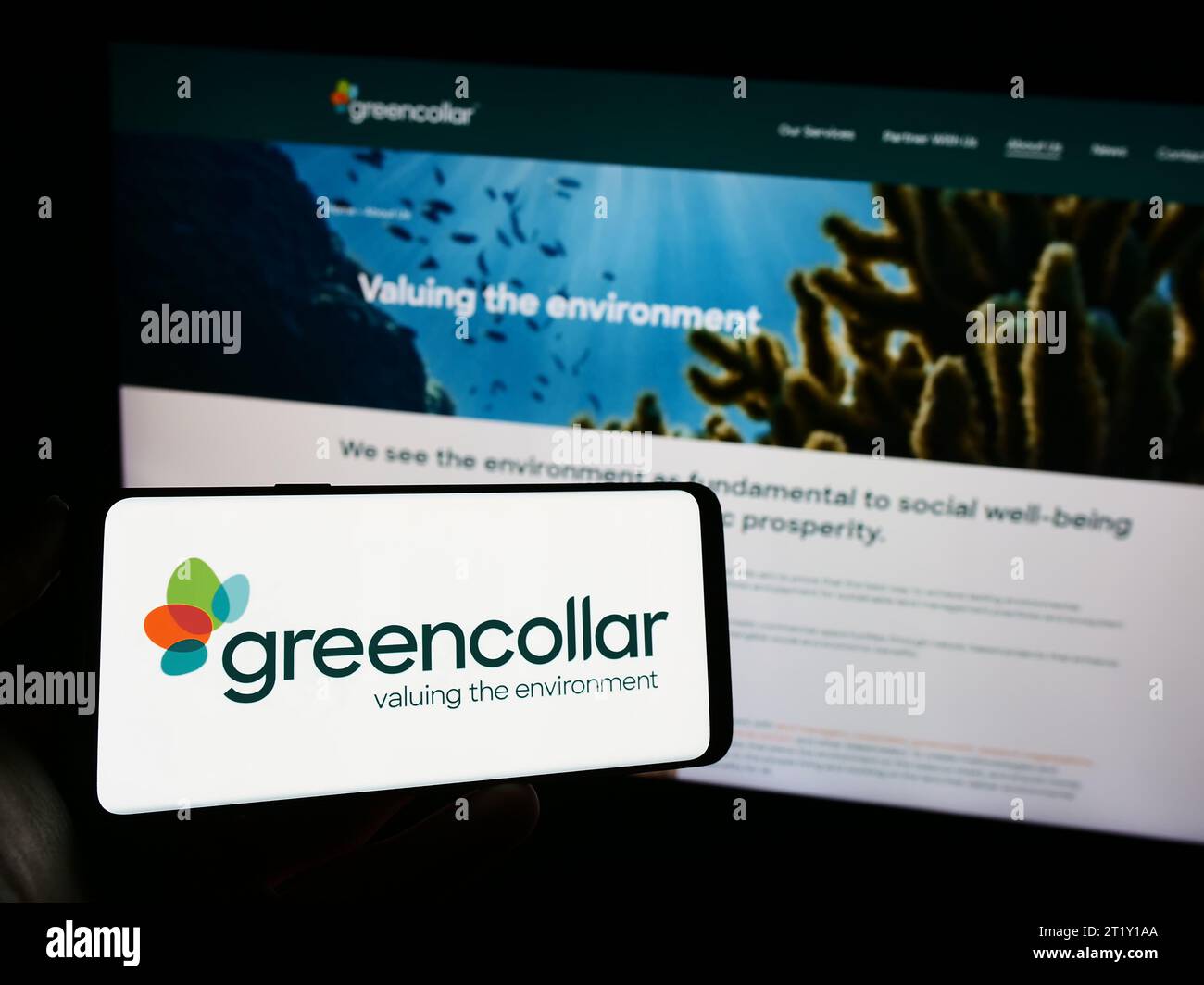 Persona che possiede un telefono cellulare con il logo della società di investimento australiana GreenCollar Group davanti alla pagina Web aziendale. Concentrarsi sul display del telefono. Foto Stock