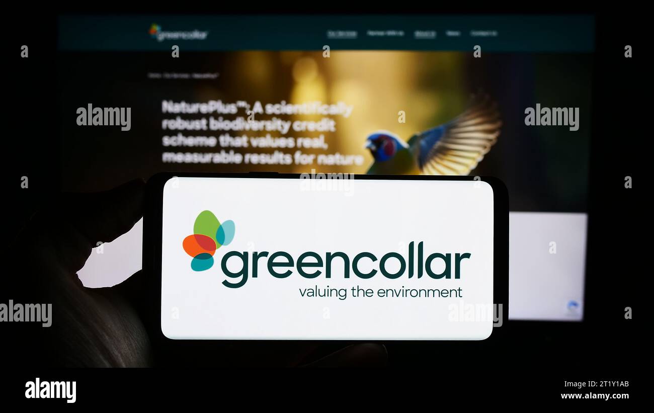 Persona in possesso di un cellulare con il logo della società di investimento australiana GreenCollar Group davanti alla pagina Web aziendale. Concentrarsi sul display del telefono. Foto Stock