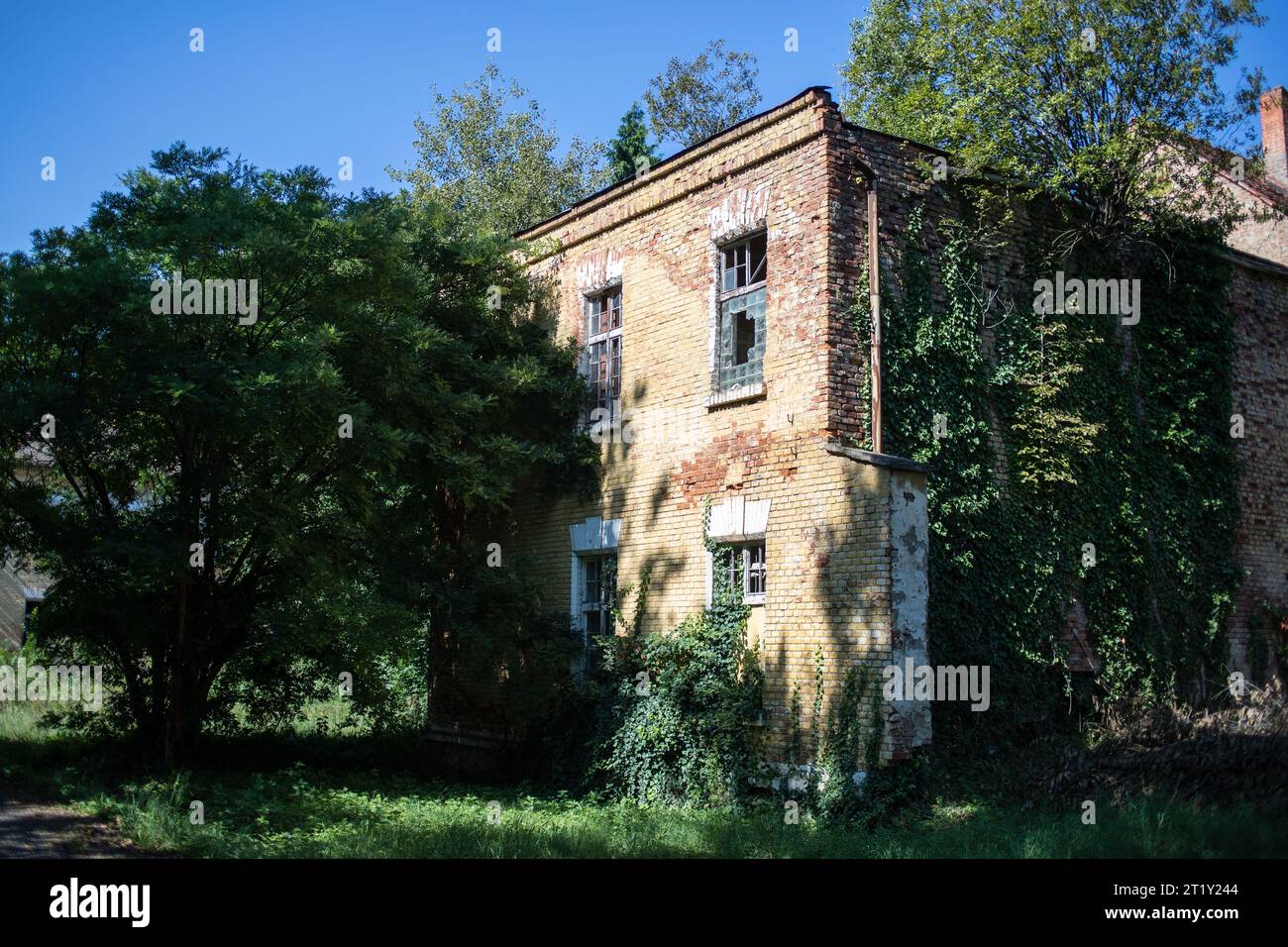 Un modello femminile si pone all'interno delle rovine di una base militare dell'epoca sovietica a Szombatheley, in Ungheria. Foto Stock