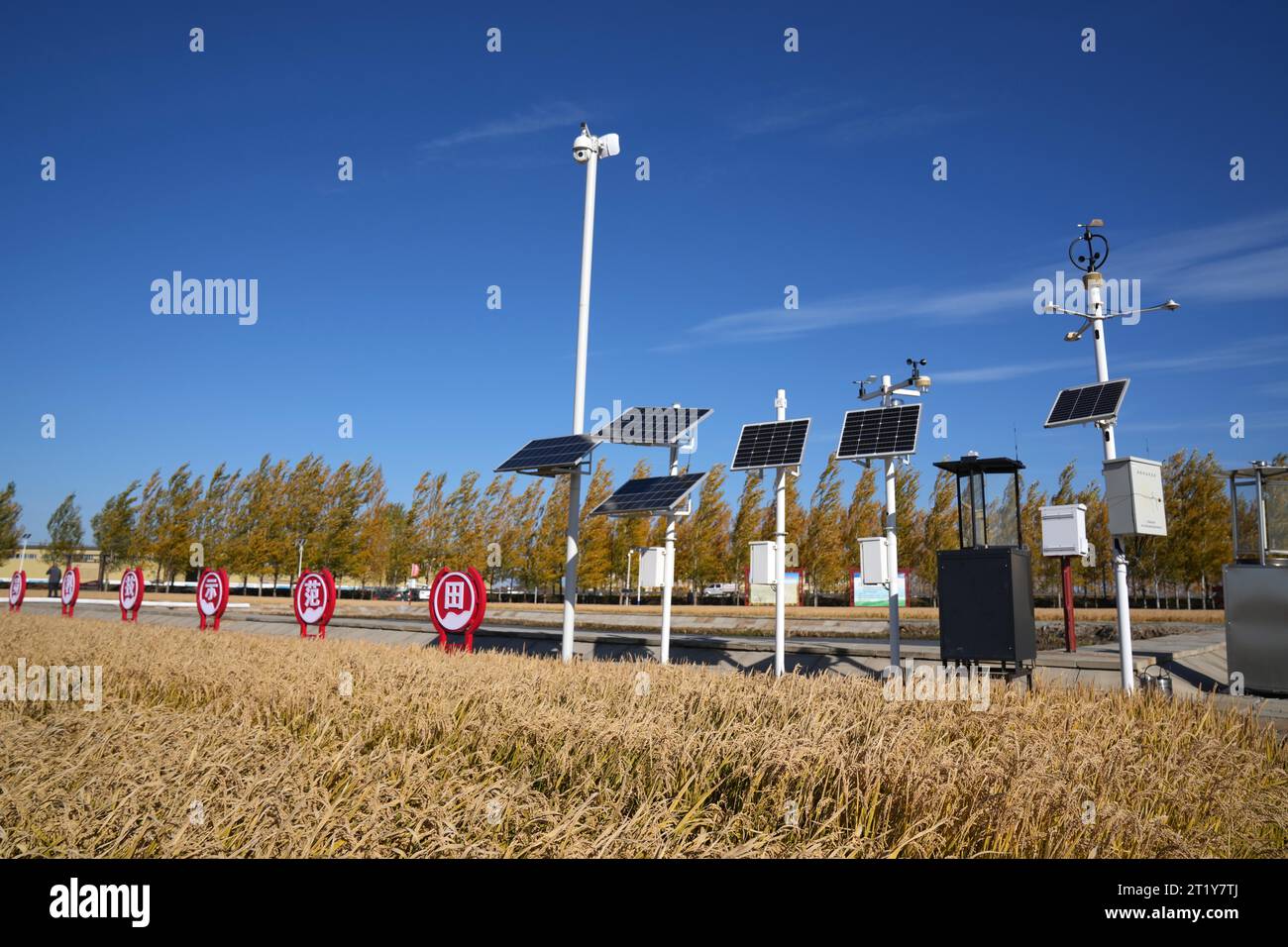 Pechino, Cina. 13 ottobre 2023. Questa foto scattata il 13 ottobre 2023 mostra un sistema di monitoraggio di Internet of Things vicino a un campo nella città di Fuyuan, nella provincia di Heilongjiang nella Cina nordorientale. Crediti: Wang Jianwei/Xinhua/Alamy Live News Foto Stock
