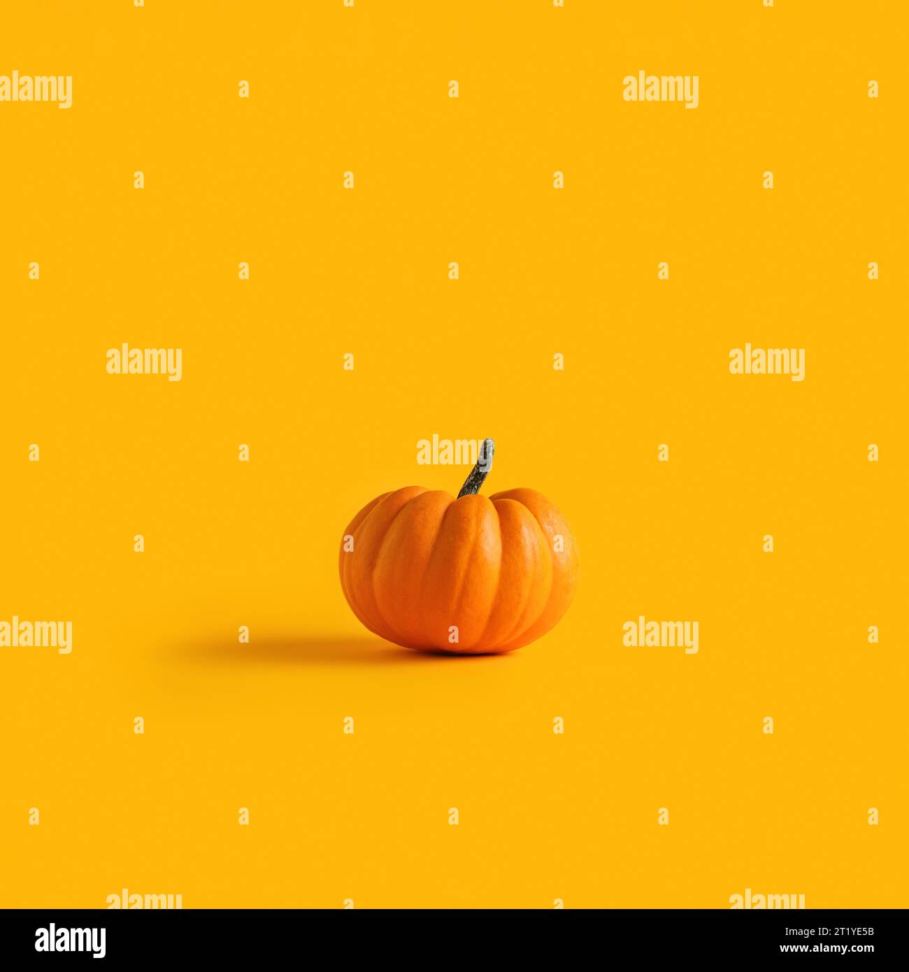 Zucca autunnale cruda di colore arancio su sfondo giallo. Foto Stock