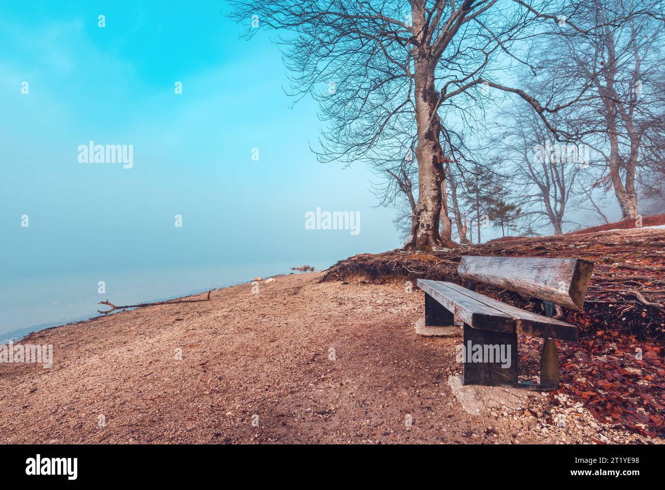 Serenità del lago Bohinj in una mattinata nebbiosa con panchina di legno vuota sulla costa, atmosfera tranquilla di una delle attrazioni naturali più belle della Slovenia Foto Stock