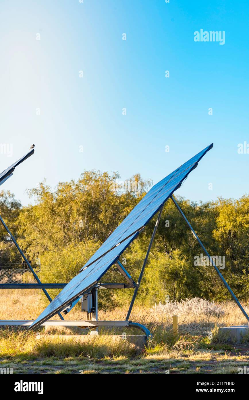 Pannelli fotovoltaici solari fotovoltaici presso la Uterne Solar Farm nell'Australia centrale vicino ad Alice Springs (Mparntwe) nel territorio del Nord Foto Stock
