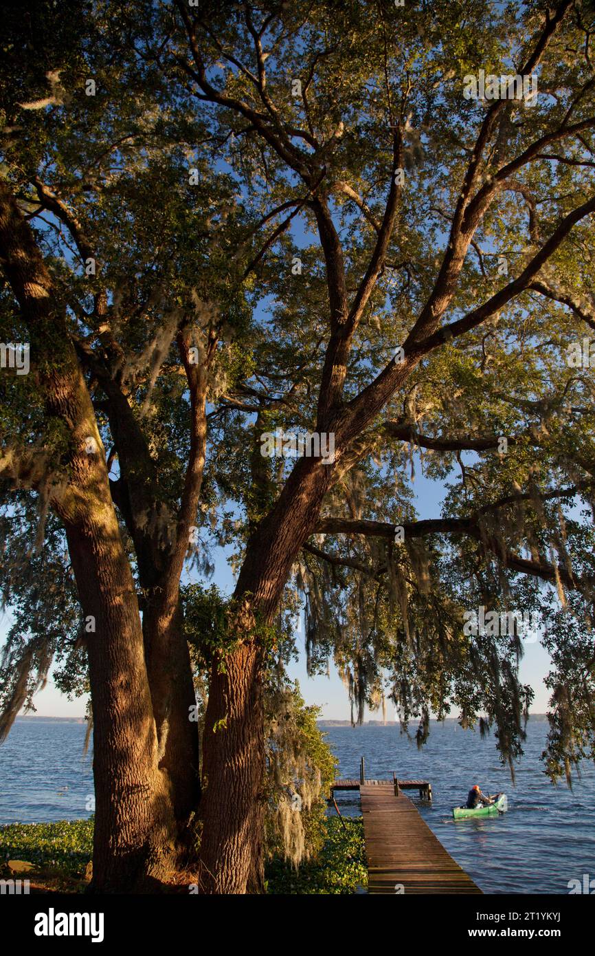 Un uomo rema lontano da un molo sul lago Seminole durante i suoi 2 mesi di navigazione dalle sorgenti del fiume Chattahoochee fino alla foce del fiume Apalachicola e della baia di Apalachicola Foto Stock