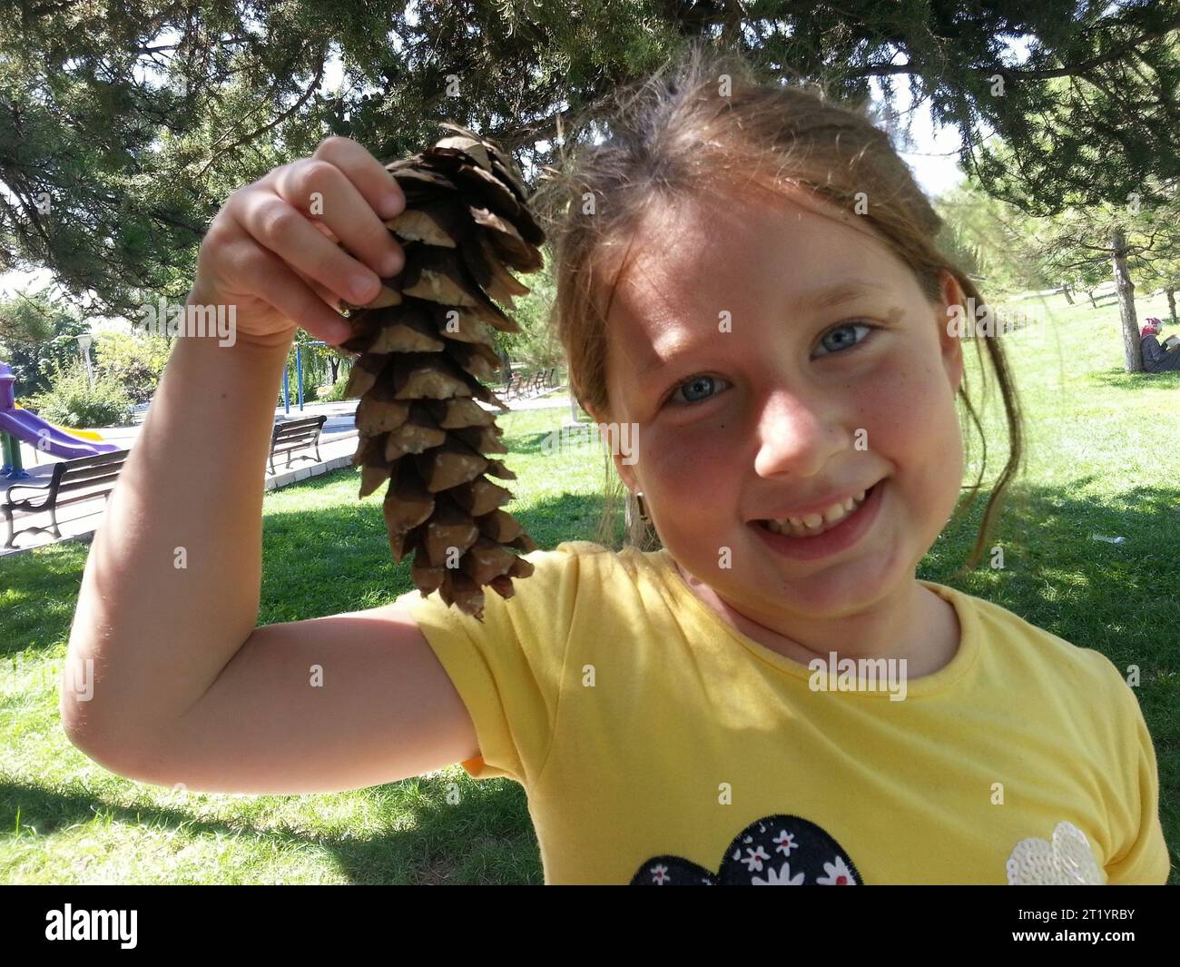 La ragazza carina e allegra che tiene in mano un cono di pino sorride. Foto Stock