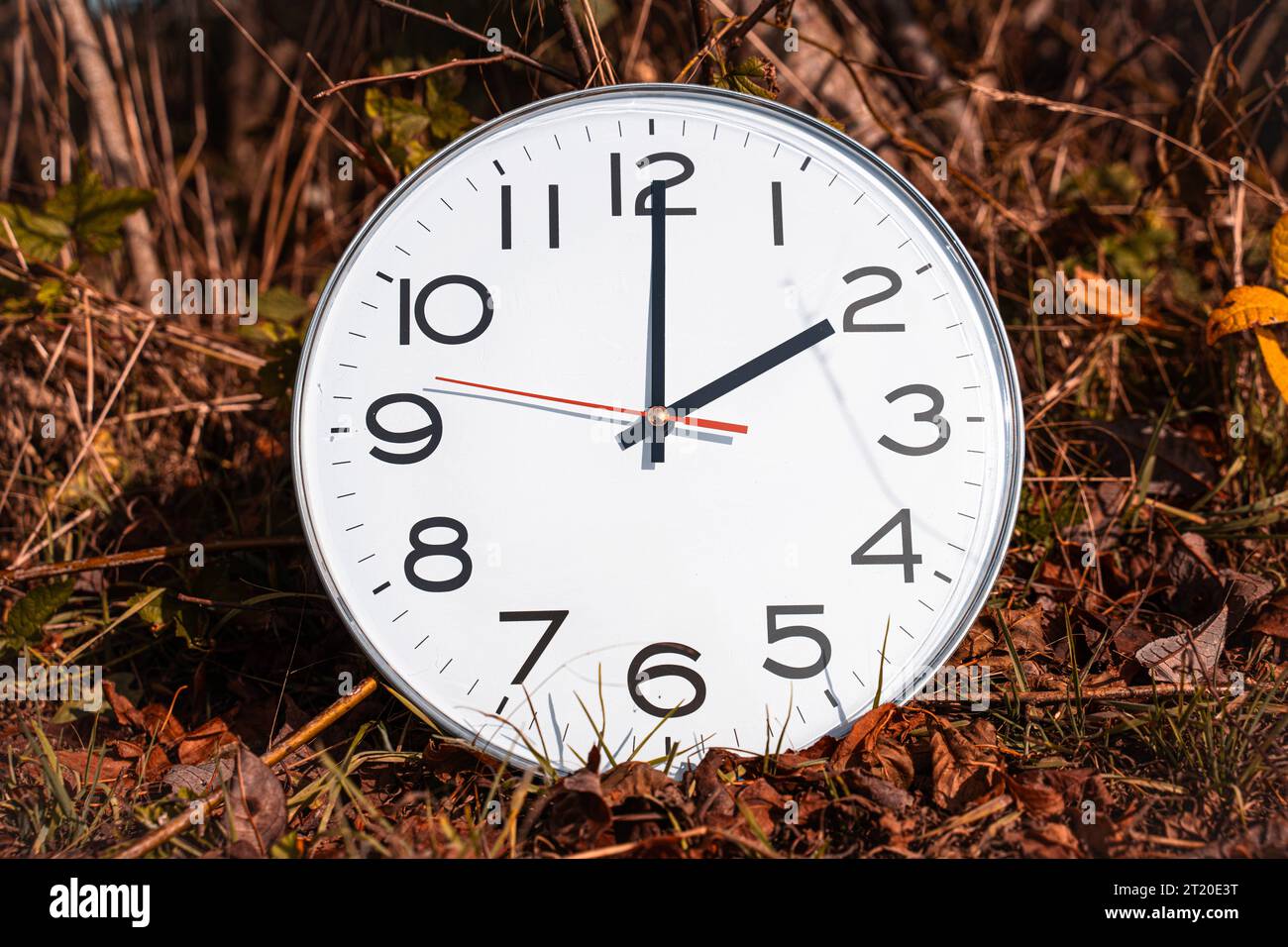 Augusta, Baviera, Germania. 16 ottobre 2023. L'ora dell'immagine simbolica cambia da ora legale a ora invernale. Orologio tra fogliame in autunno con la mano in tempo 2 o orologio *** Symbolbild Zeitumstellung von Sommerzeit auf Winterzeit. Uhr zwischen Laub im Herbst mit dem Zeiger auf Uhrzeit 2 Uhr Credit: Imago/Alamy Live News Foto Stock