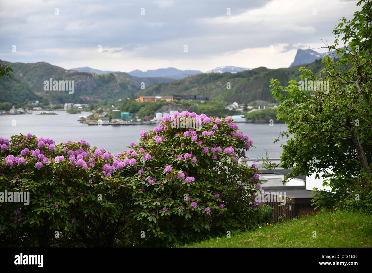 Paesaggi panoramici di Stavanger, Maloy, Nordfjordeid in Norvegia Foto Stock