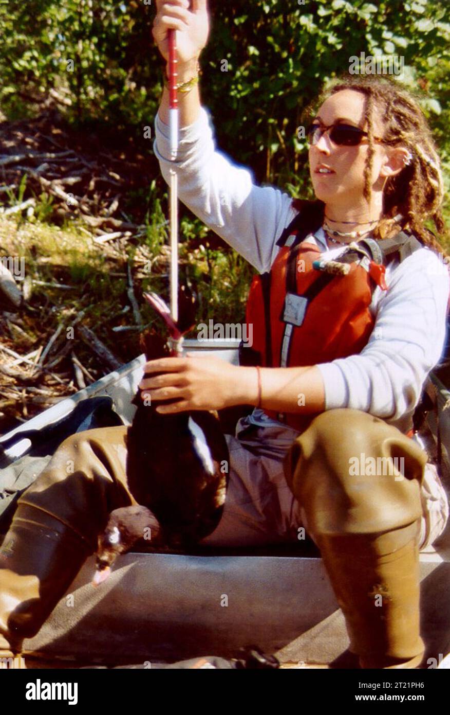 La tecnica biologica Laura Kennedy pesa un scoter dalle ali bianche drake durante uno studio di ecologia di allevamento di scoter al lago Scoter Camp nel Yukon Flats National Wildlife Refuge. Laura (creatrice di metadati). Argomenti: Lavoro del servizio; dipendenti (USFWS); gestione della fauna selvatica; tagging; banding di uccelli; uccelli; uccelli acquatici; ambienti acquatici. Località: Alaska. Fish and Wildlife Service Site: Yukon Flats National Wildlife Refuge. Foto Stock