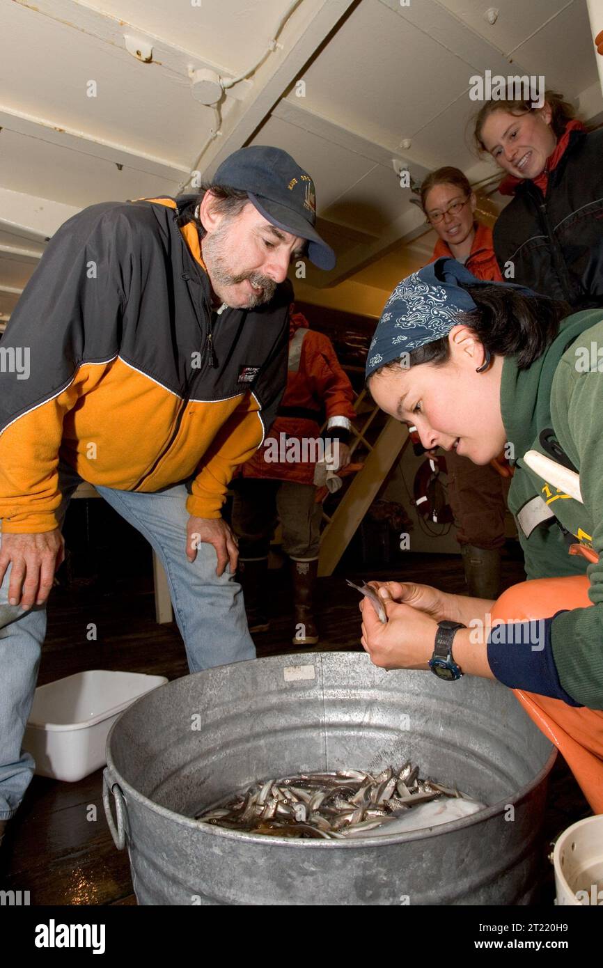 I ricercatori conducono studi sul pesce foraggio nelle isole Shumagin all'interno dell'Alaska Maritime National Wildlife Refuge, concentrandosi sulla biologia marina e sugli ecosistemi costieri lungo la penisola dell'Alaska. Foto Stock