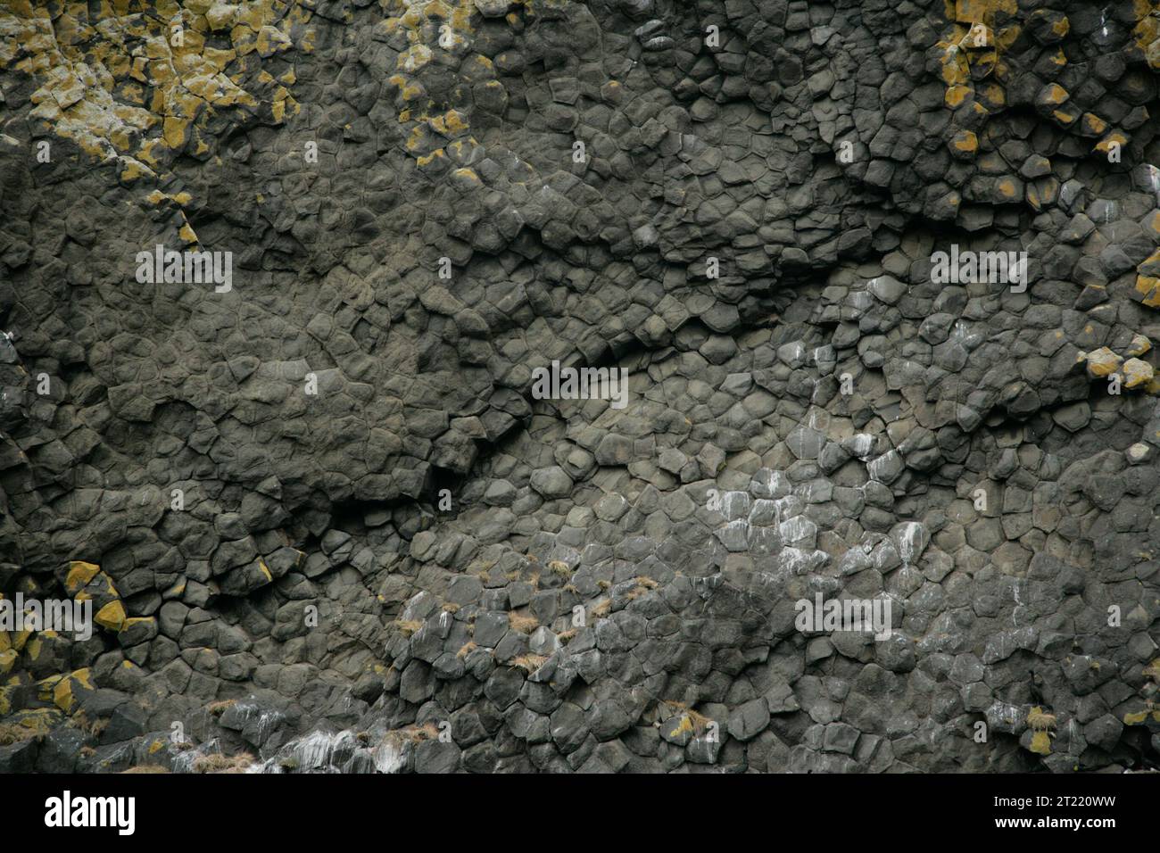 Una vista dettagliata della formazione di basalto colonnare sull'isola di Akun, parte dell'Alaska Maritime National Wildlife Refuge. Questa caratteristica geologica fornisce informazioni sulla storia vulcanica e sull'ecosistema costiero delle Aleutine. Foto Stock