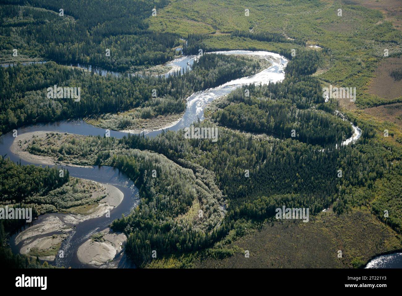 I buoi del fiume Kanuti alla fine di agosto rivelano un paesaggio sereno, con ricche tundra e giochi d'acqua, che mostrano cambiamenti stagionali e abbondante fauna selvatica nel Kanuti National Wildlife Refuge. Soggetti: Riserva naturale nazionale Kanuti, fiumi e ruscelli, Tundra, osservazione della fauna selvatica, fotografia aerea. Foto Stock