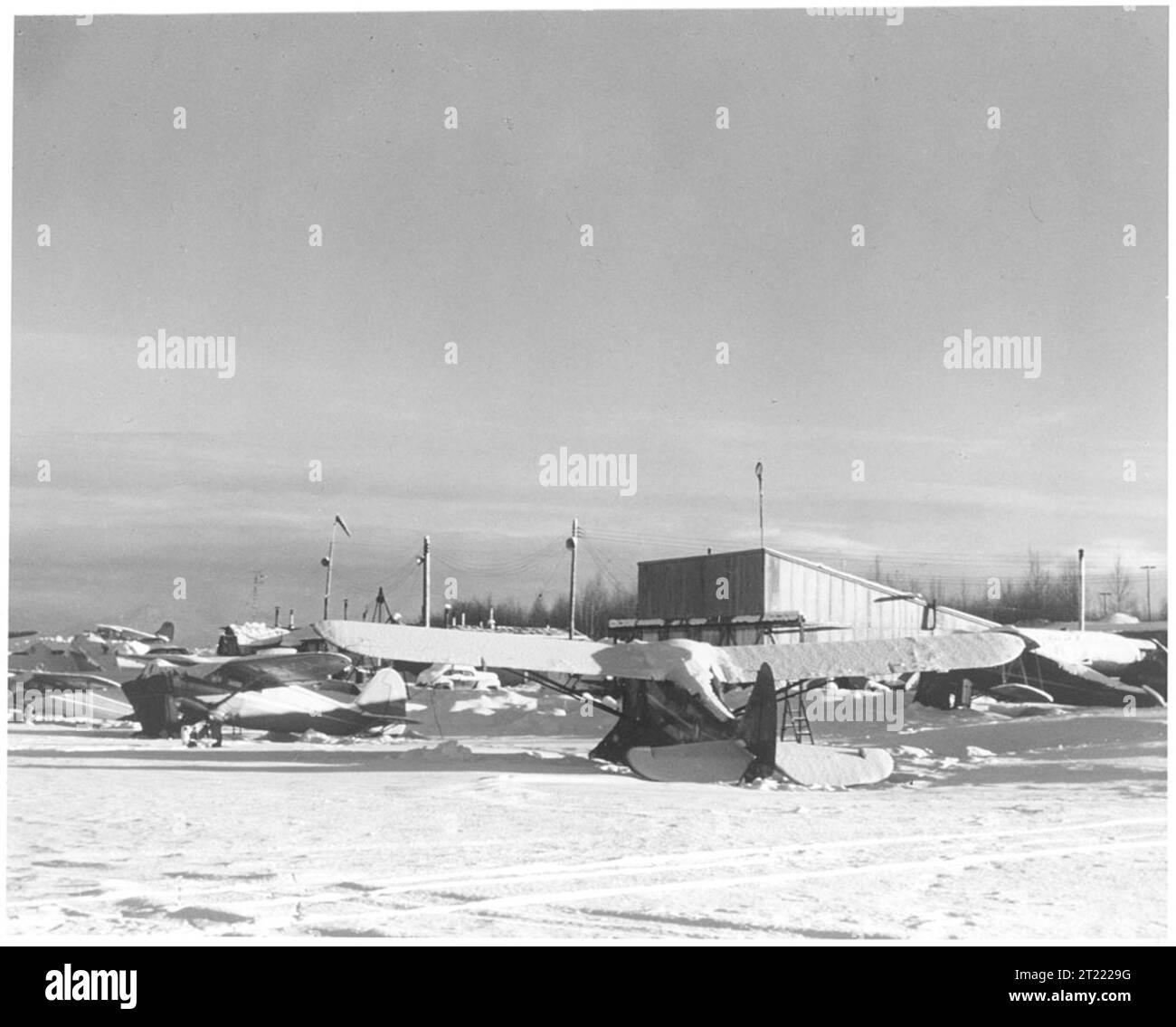 Diversi piccoli aeroplani parcheggiavano in un campo d'aviazione innevato in Alaska, mostrando attività di aviazione generale durante le condizioni invernali. Foto Stock